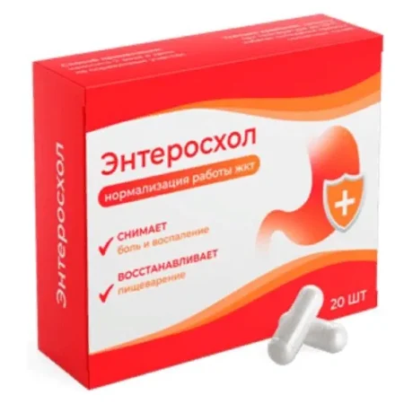 Энтеросхол для лечения ЖКТ купить в аптеке за 147 рублей
